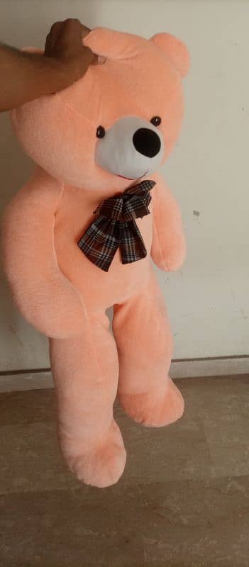 for sale teddy 1