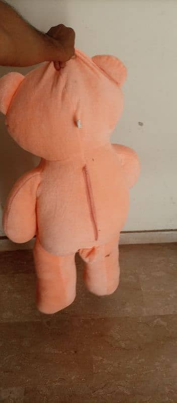 for sale teddy 2