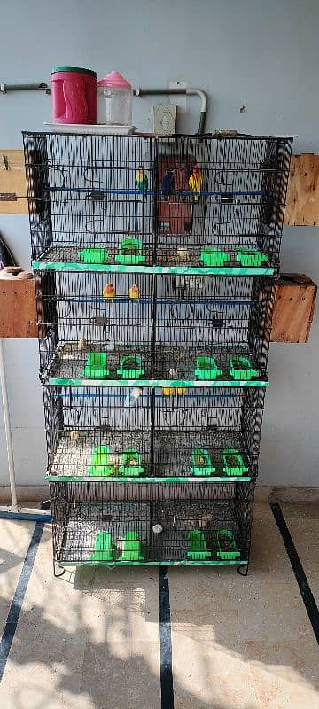 8 Portion Cage In very Good condition 2