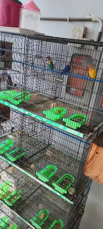 8 Portion Cage In very Good condition 3