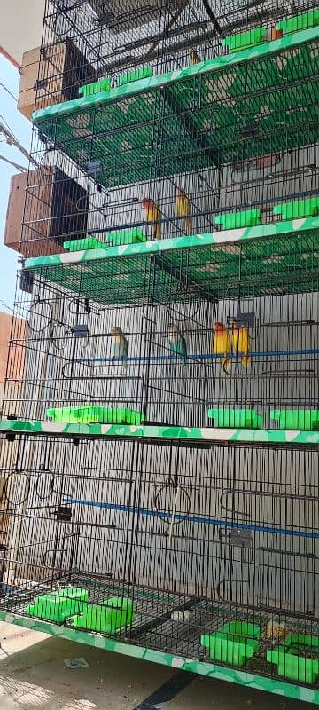 8 Portion Cage In very Good condition 4