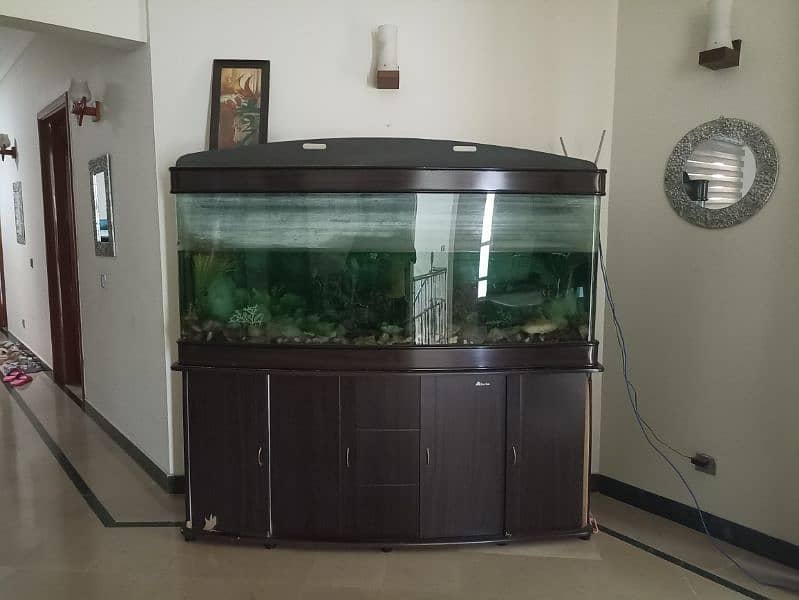 Imported aquariums for sale. 0