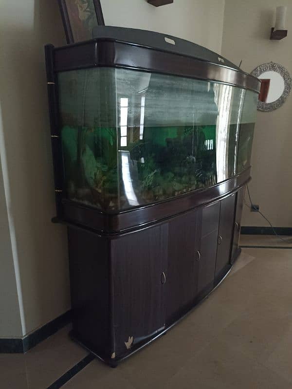 Imported aquariums for sale. 1