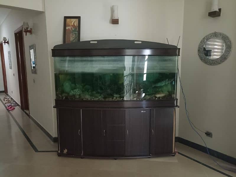 Imported aquariums for sale. 2