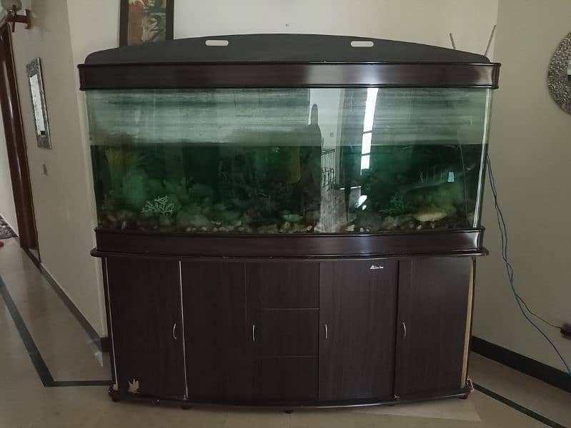 Imported aquariums for sale. 3