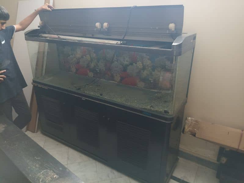 Imported aquariums for sale. 4