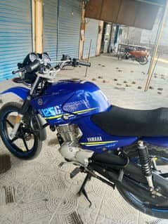 Yamaha