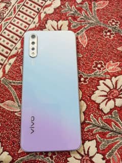 vivo