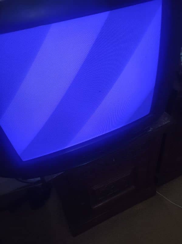 Television 6