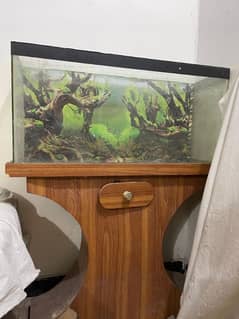 Fish Aquarium with pump