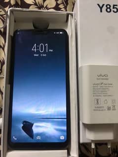 vivo