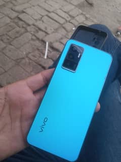 Vivo