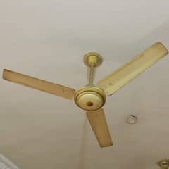 national ceiling fan