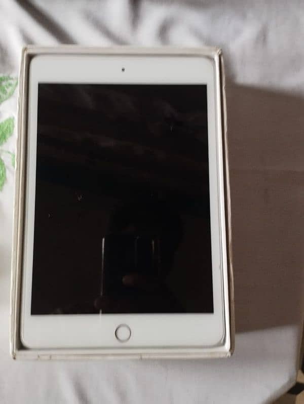 Ipad Mini 5 64 GB Condition 10/10 Hai With Box and Charger Hai 0