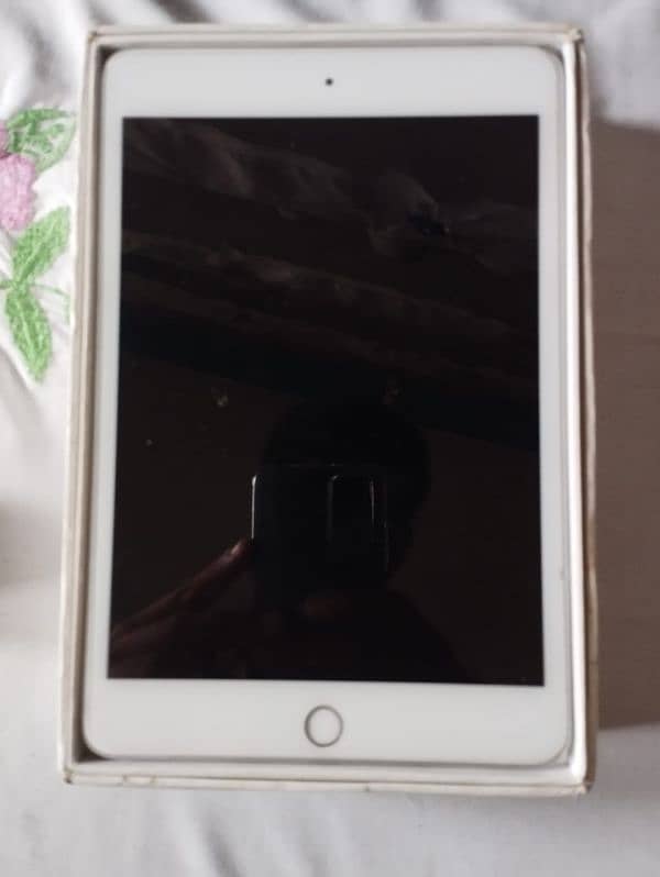 Ipad Mini 5 64 GB Condition 10/10 Hai With Box and Charger Hai 1