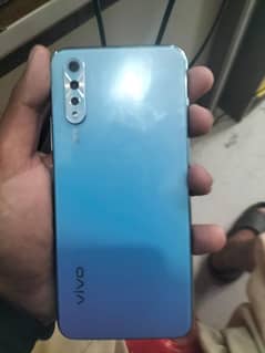 vivo