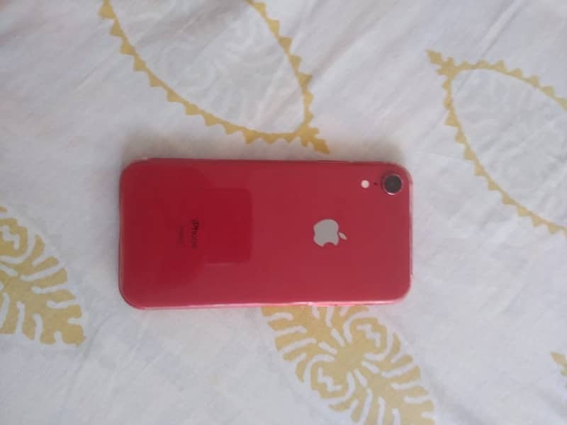 iPhone XR 1