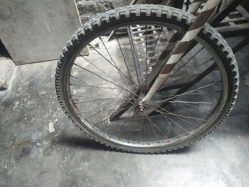 shohrab cycle full size urgent sale need cash 2