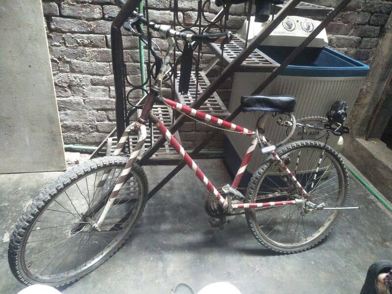 shohrab cycle full size urgent sale need cash 5