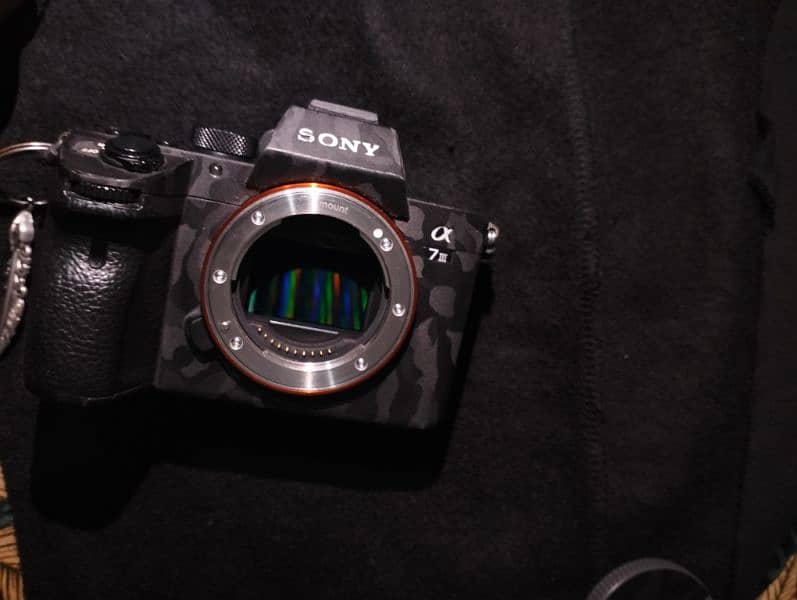 sony a73 5