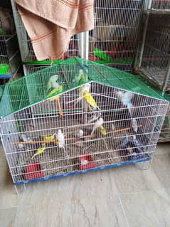 8 cage for sale 03122565964