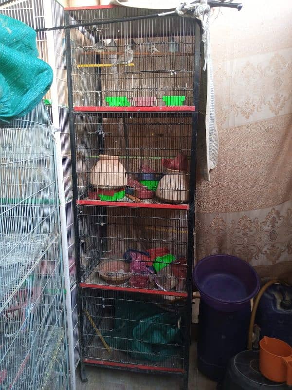 8 cage for sale 03122565964 2