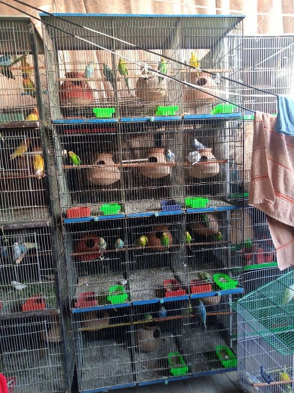 8 cage for sale 03122565964 4