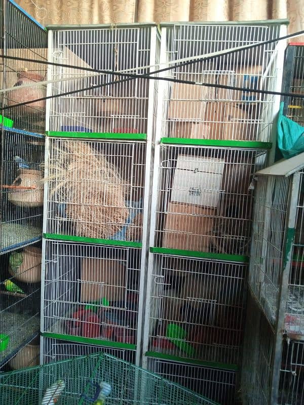 8 cage for sale 03122565964 5