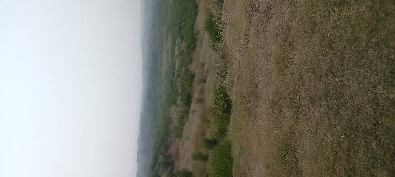 50 Kanal land for sale in Shah Allah Ditta Islamabad ,Road Access  DEMAND PR KANAL 1.50. CRORE 0