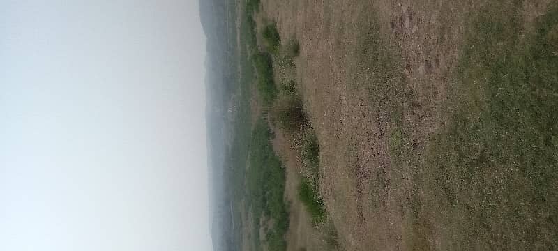 50 Kanal land for sale in Shah Allah Ditta Islamabad ,Road Access  DEMAND PR KANAL 1.50. CRORE 1