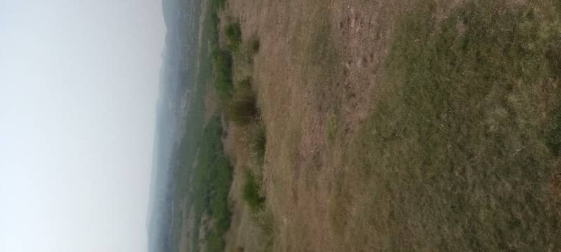 50 Kanal land for sale in Shah Allah Ditta Islamabad ,Road Access  DEMAND PR KANAL 1.50. CRORE 2