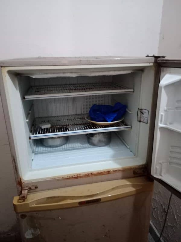 fridge medium size 3