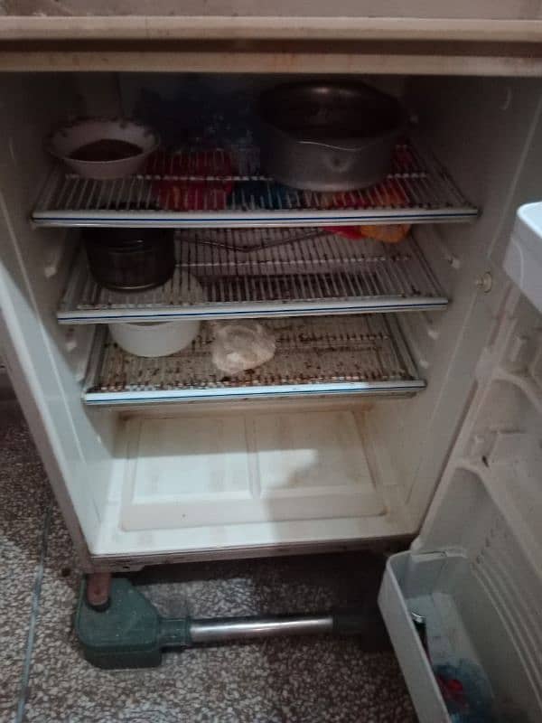 fridge medium size 4