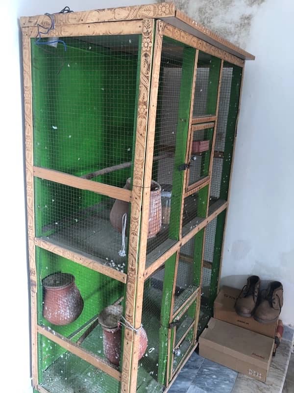 Birds Cage 1