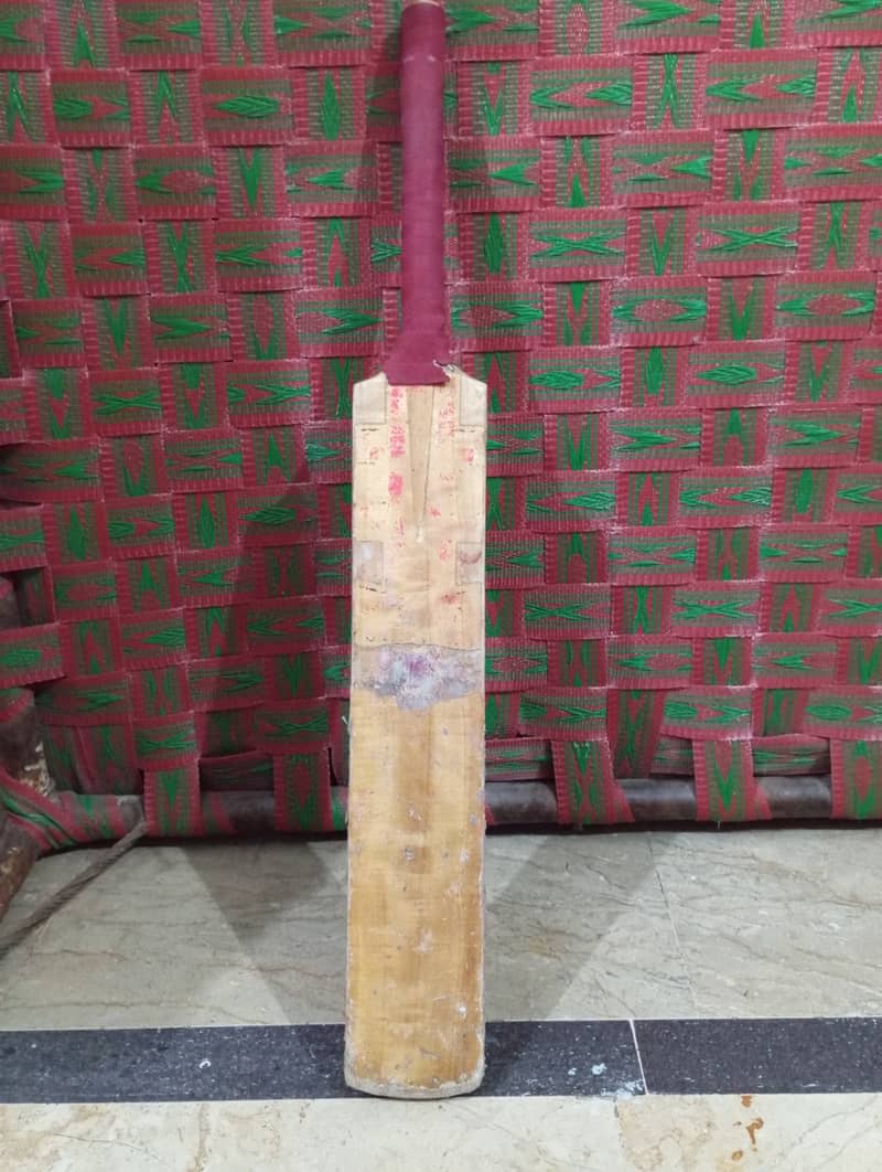 GRAY-NICOLLS hardball cricket bat 1