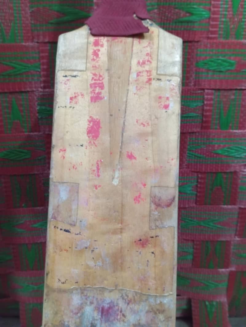 GRAY-NICOLLS hardball cricket bat 2