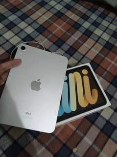 ipad mini 6