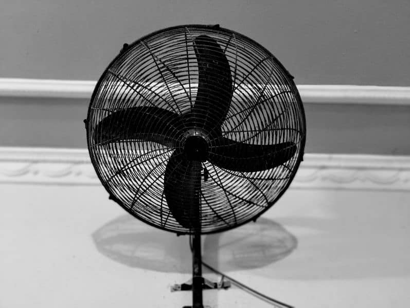 FAN for sale 1