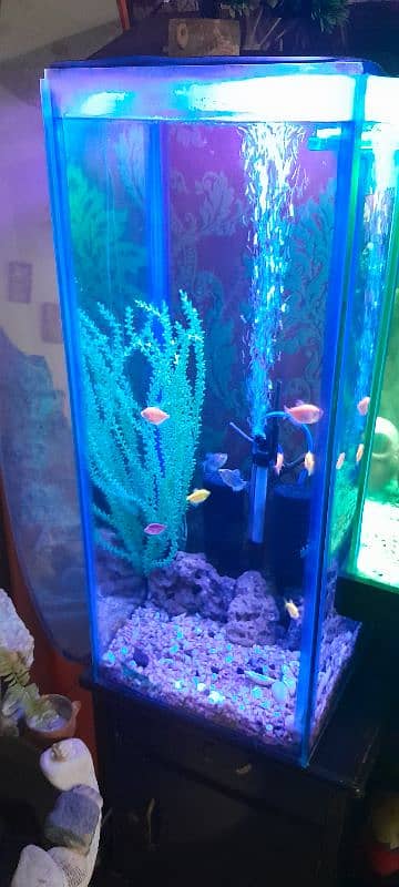 aqurium for sale good condition 2