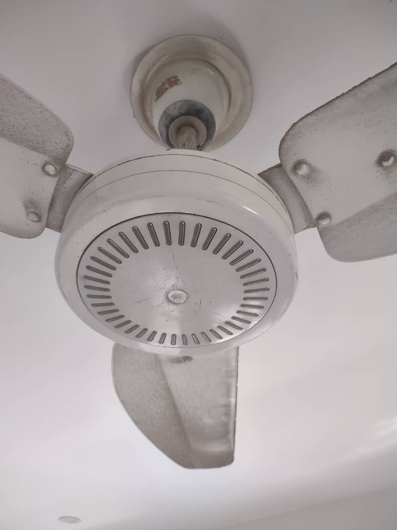 GFC ceiling fan 56" 0