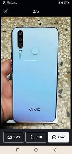 vivo