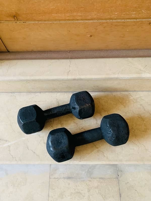 dumbells 1