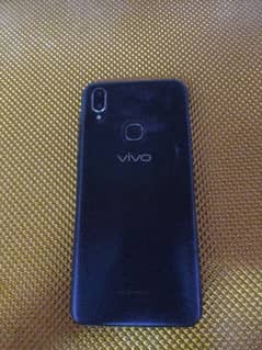 vivo