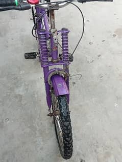 Bicycle for sale