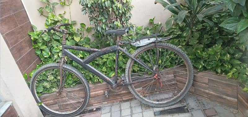 cycle  for sale bari hn only call price  finl 03211165562 0