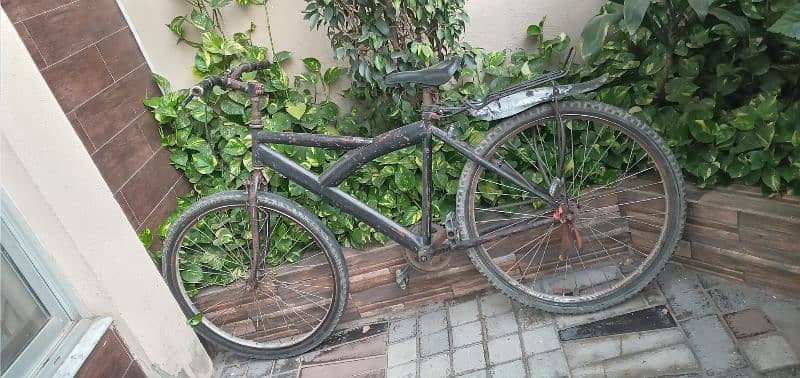 cycle  for sale bari hn only call price  finl 03211165562 1