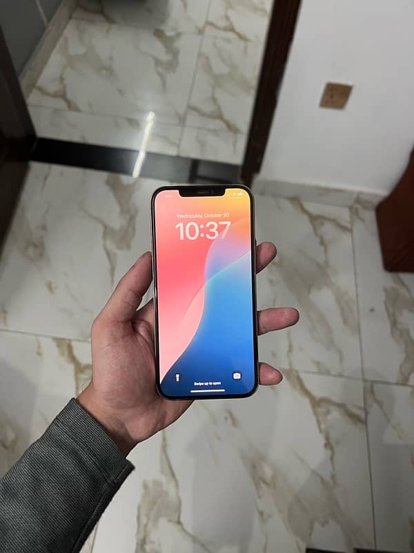 iphone 12 pro max pta 256 gb approved 4