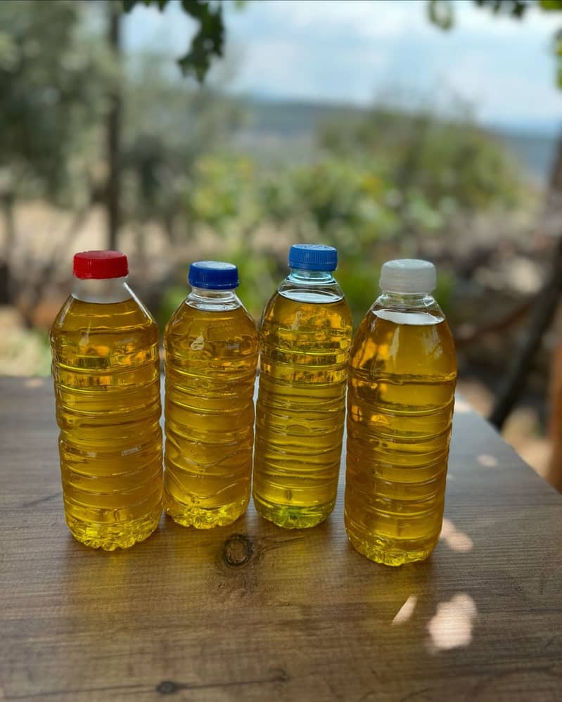 Olive oil for sale 1