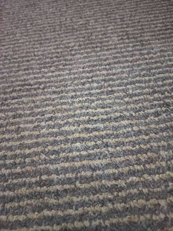 carpet important 1