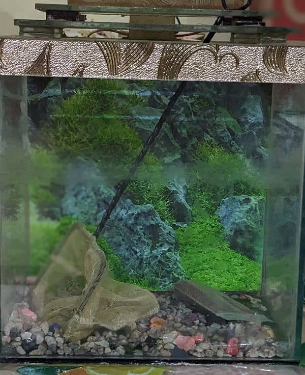 fish aquarium brand new 2